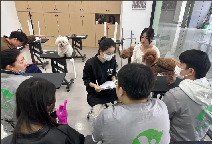 乌兰察布市宠物美容师宠物美容培训学校 - 一站式服务